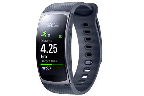 Samsung Gear Ajuste 2 Gris Oscuro, Grande, Sm-R3600